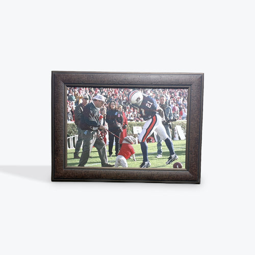 'Uga' Bites Auburn on Canvas