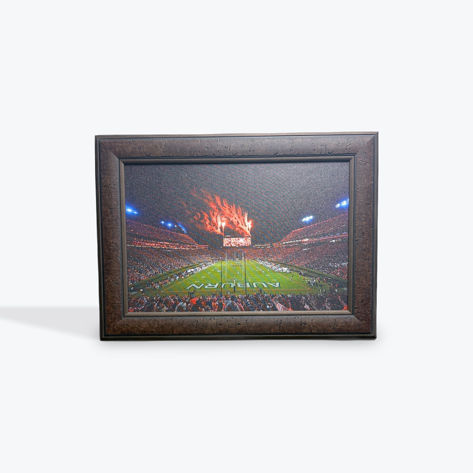 Auburn Stadium Canvas