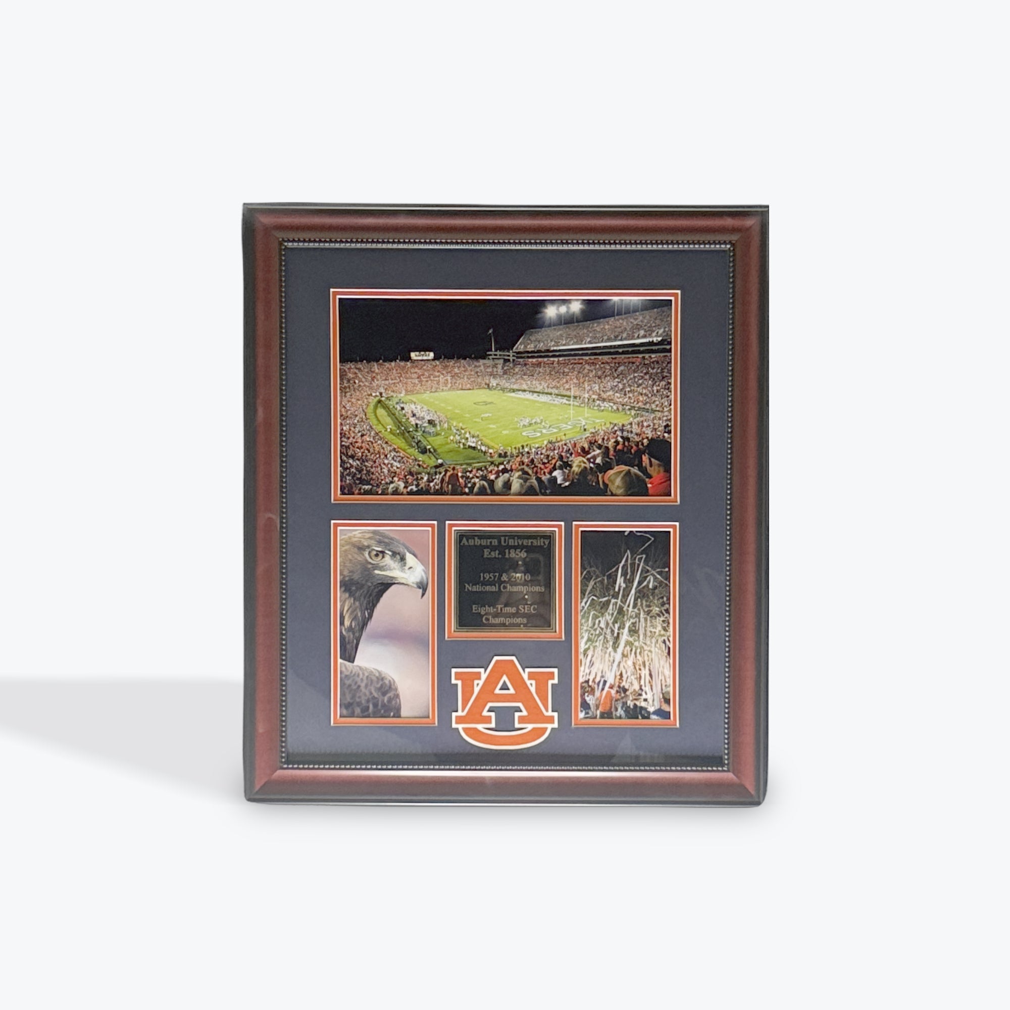 Auburn Est 1856