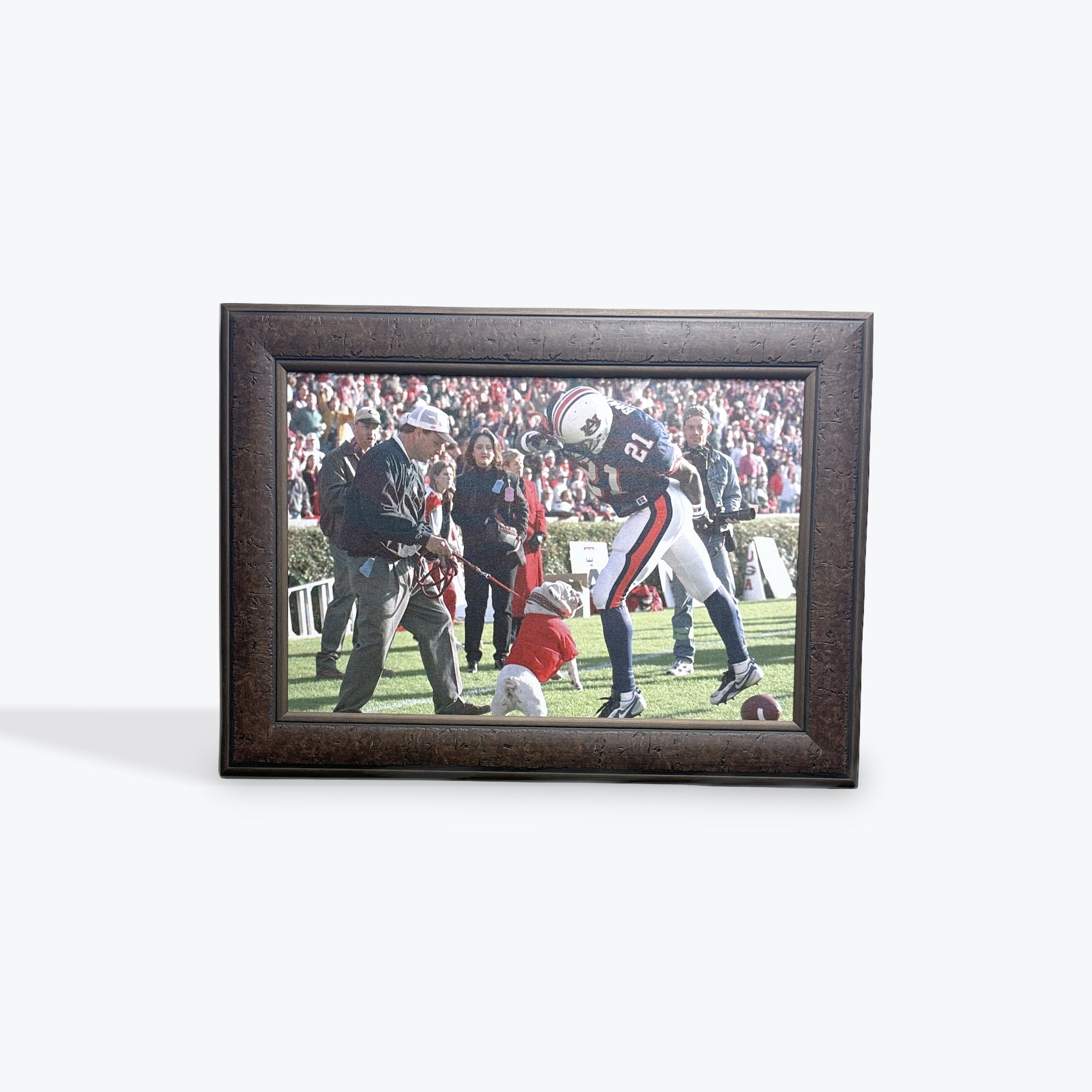 'Uga' Bites Auburn on Canvas