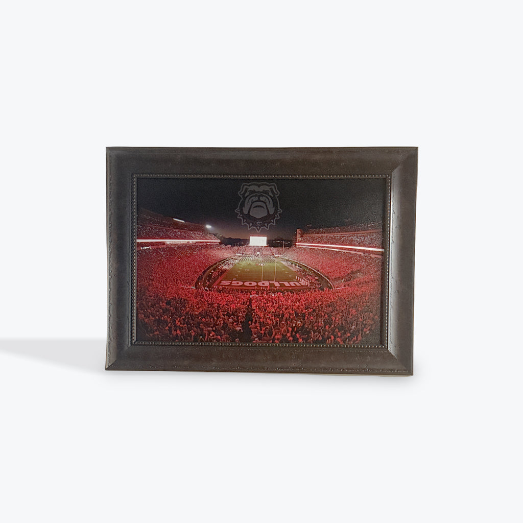 Georgia Stadium Canvas