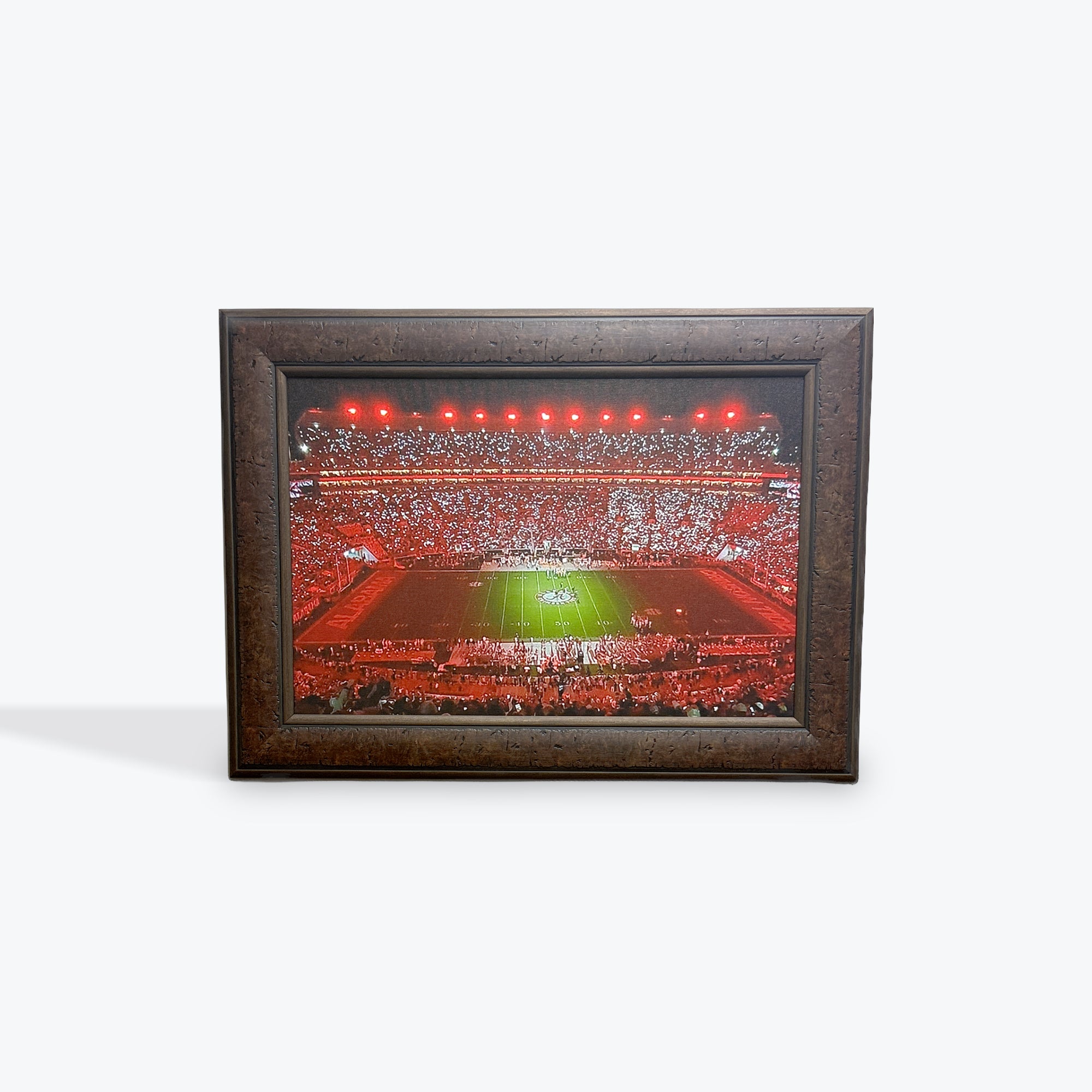 Alabama Stadium Canvas