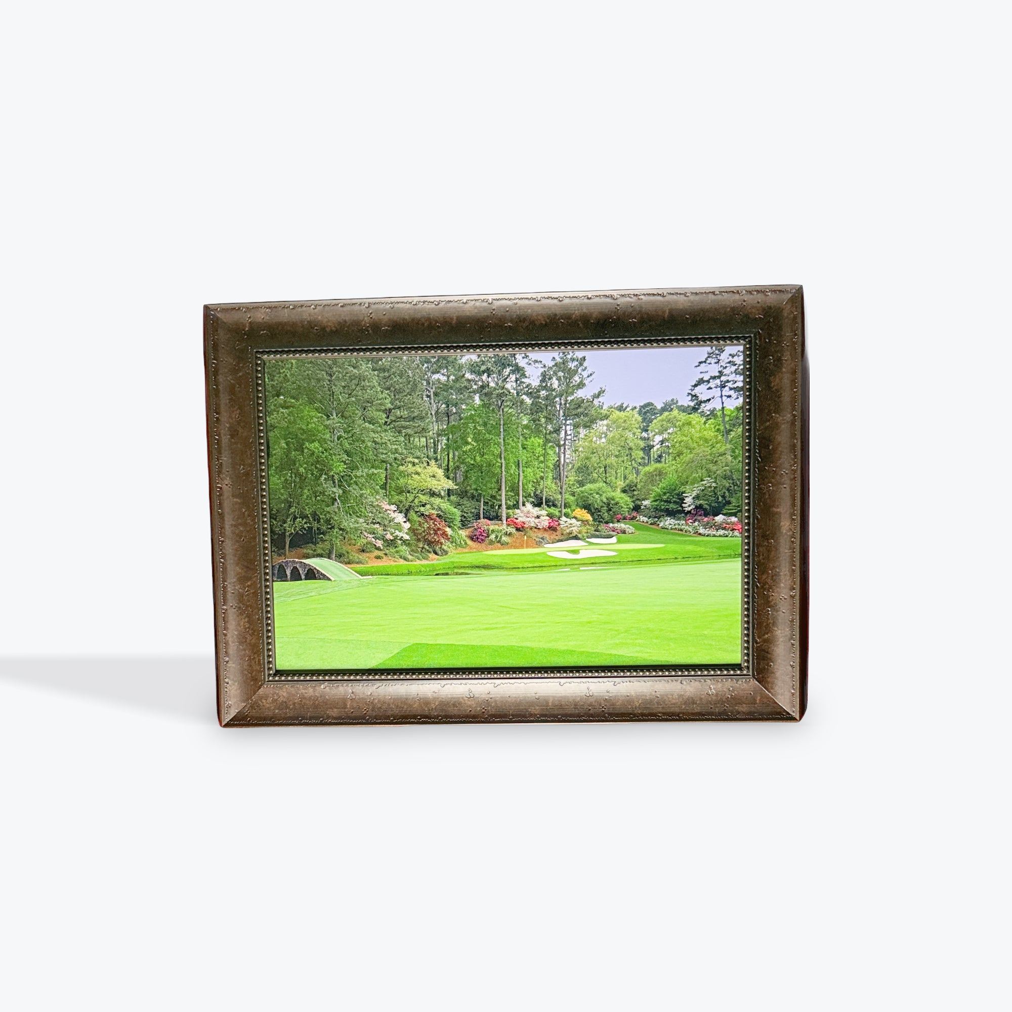 Augusta # 12 Canvas