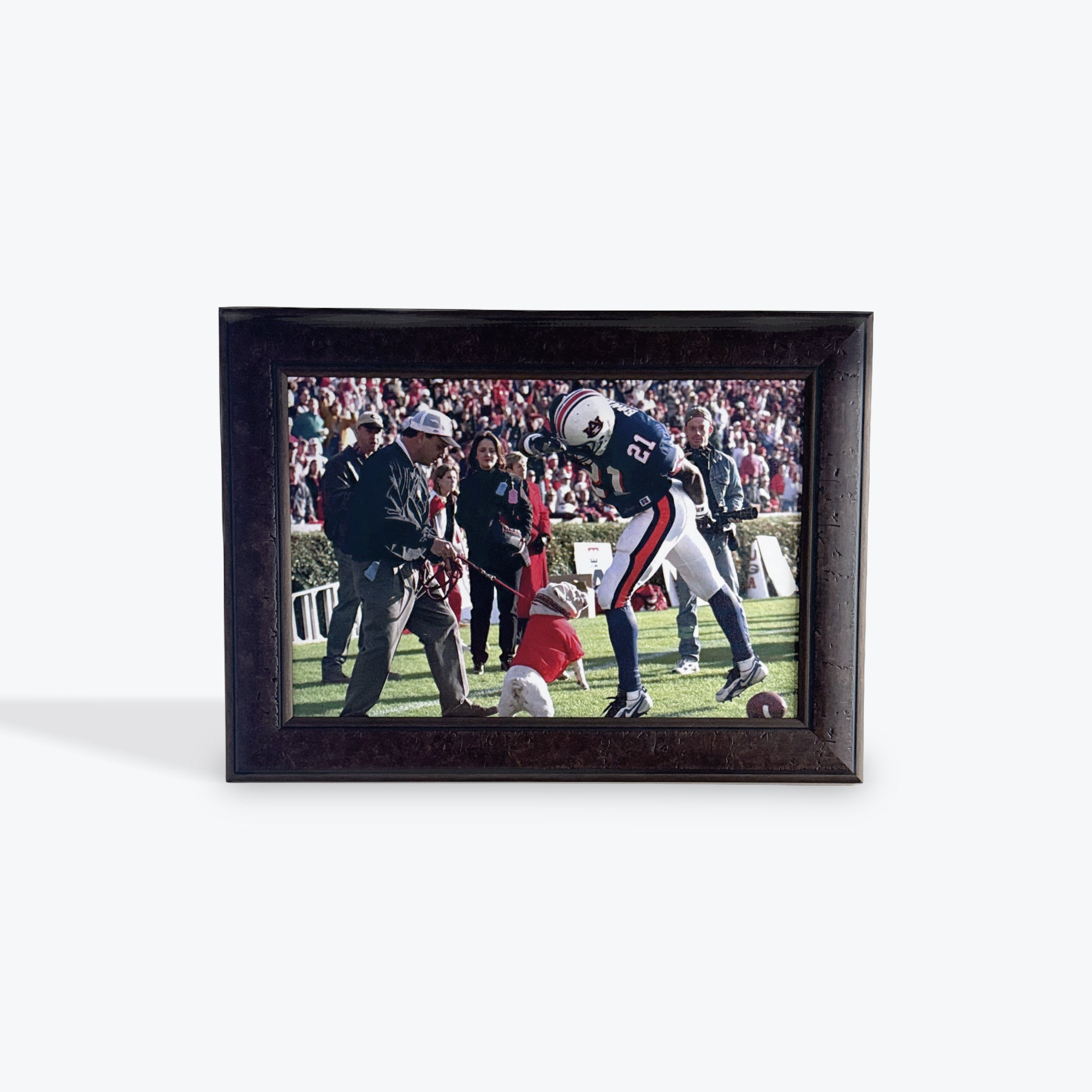 'Uga' Bites Auburn on Canvas