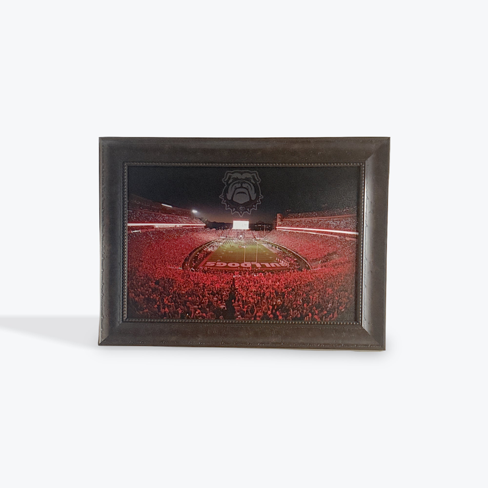 Georgia Stadium Canvas