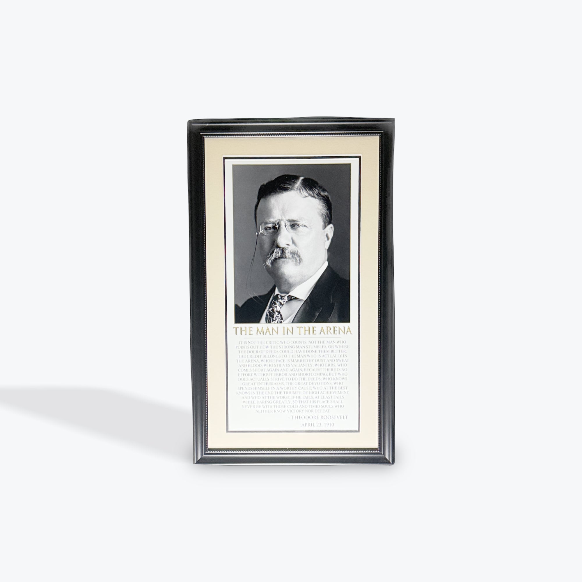 Theodore Roosevelt Speech