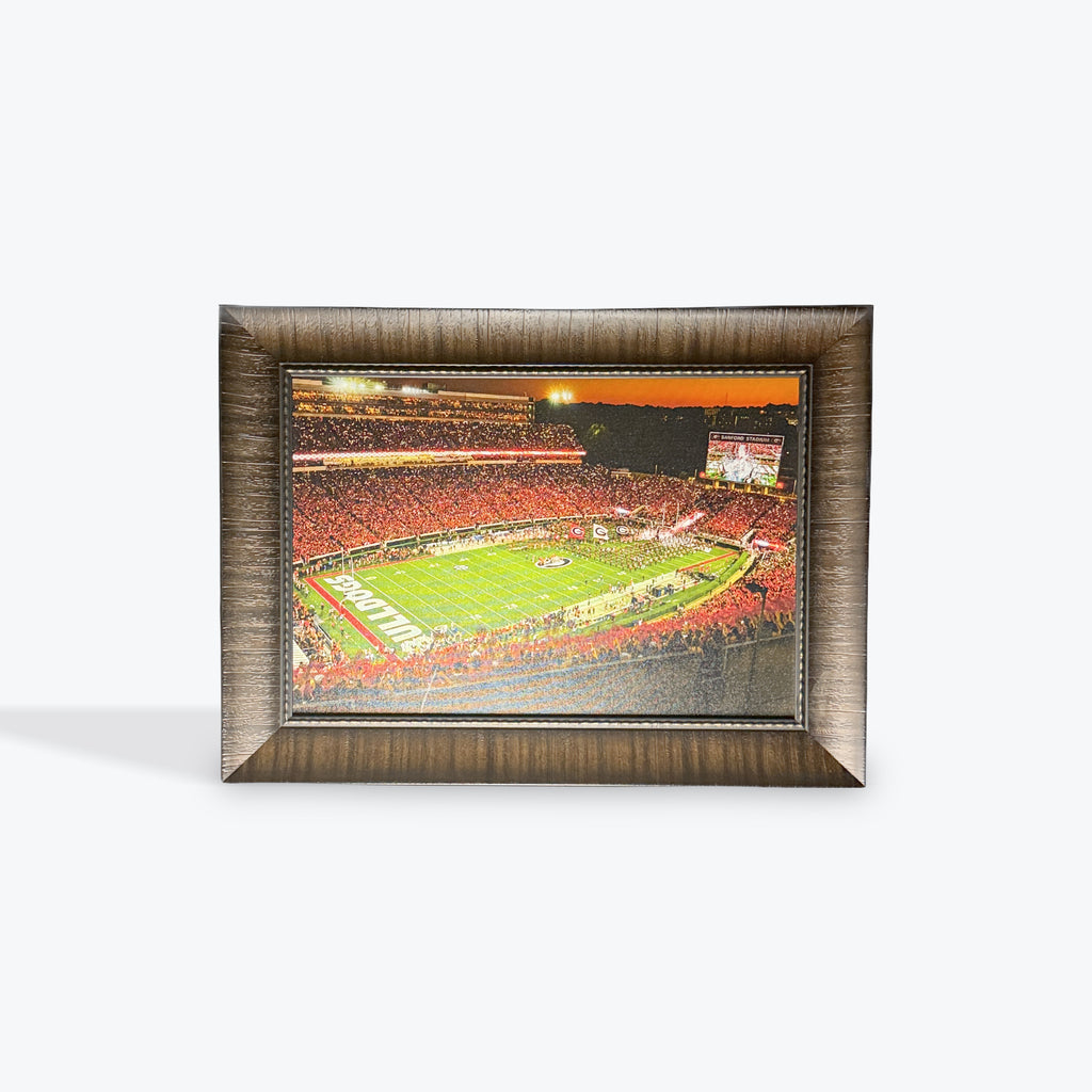 Georgia Stadium Canvas