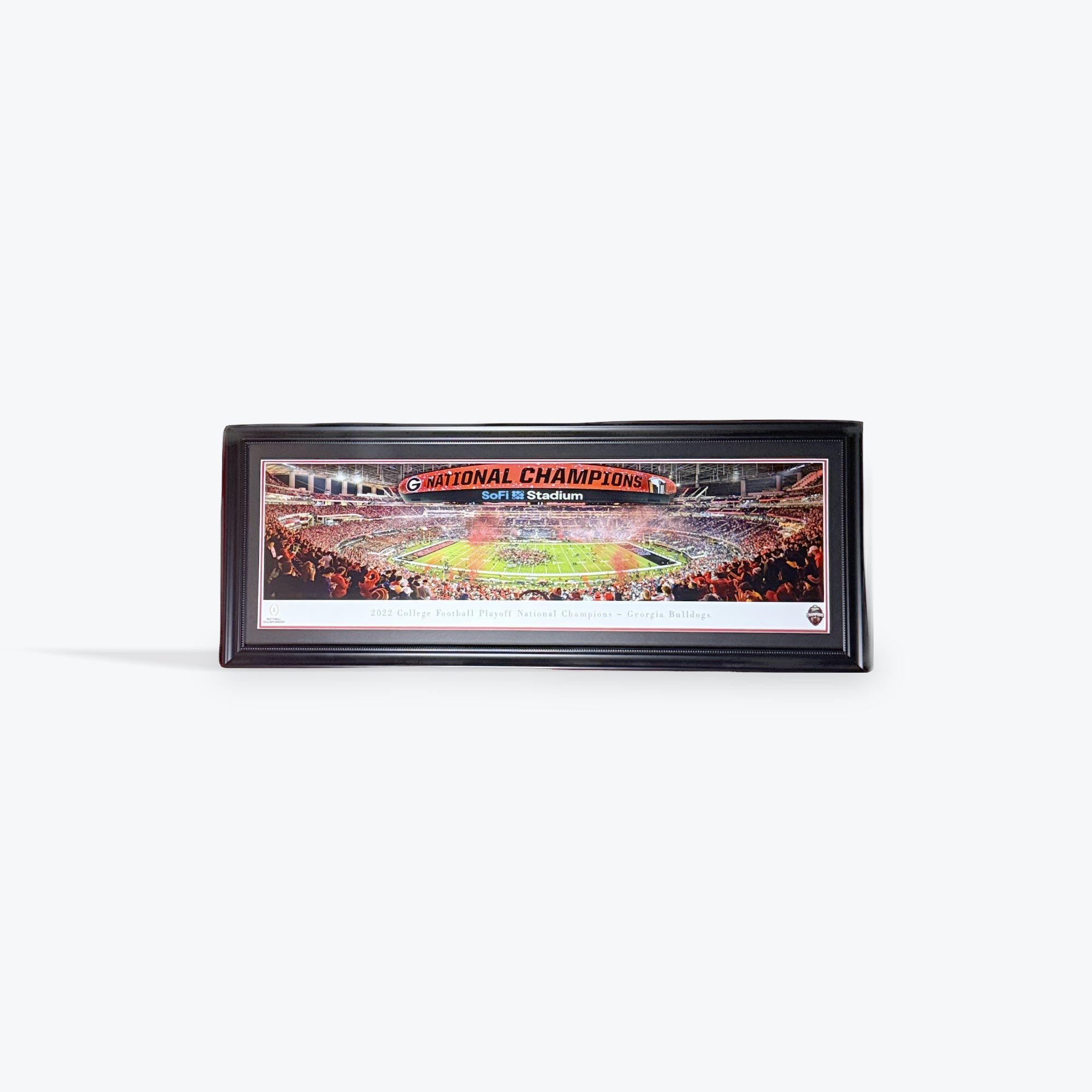 Georgia '22 Stadium Panoramic