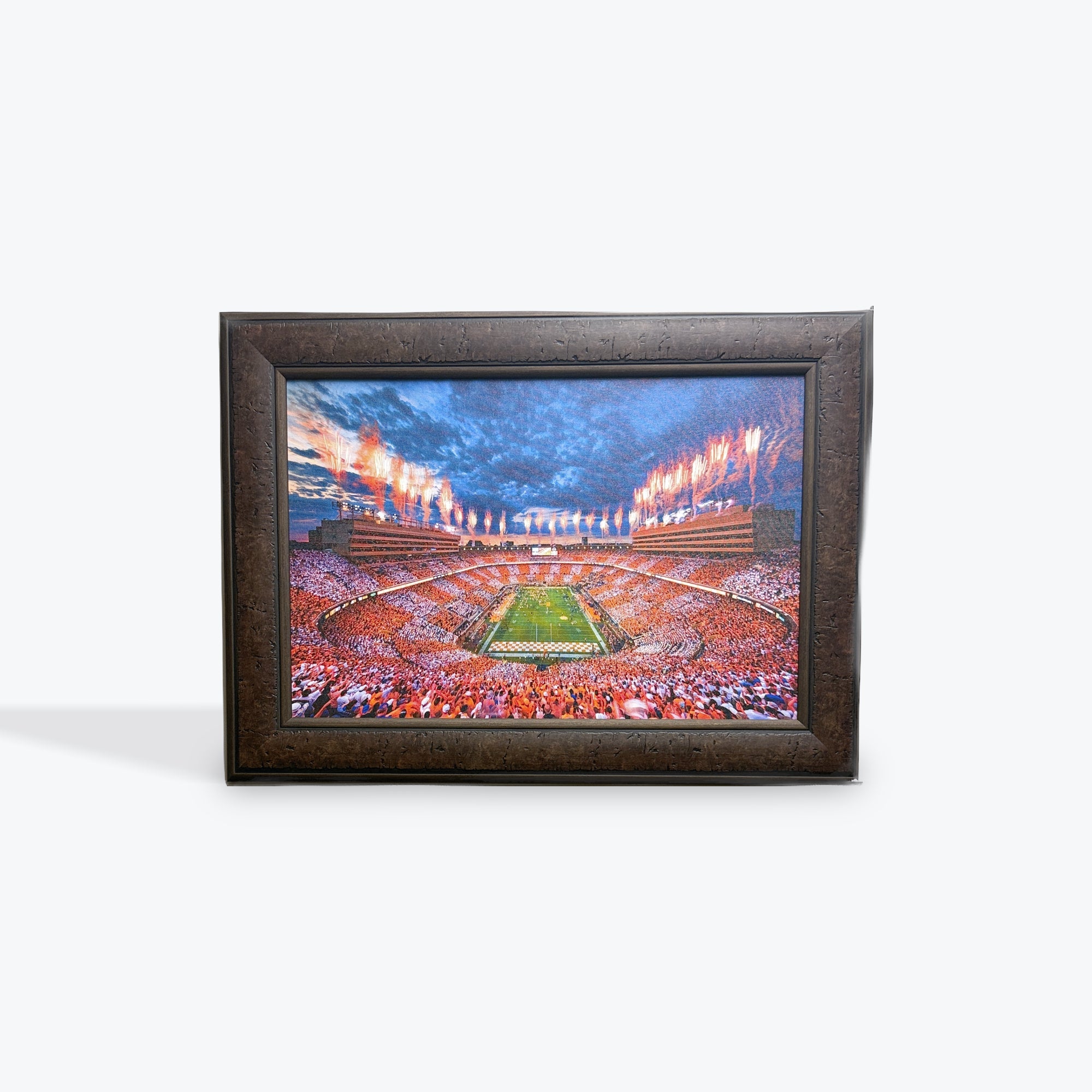 Tennessee Stadium Canvas