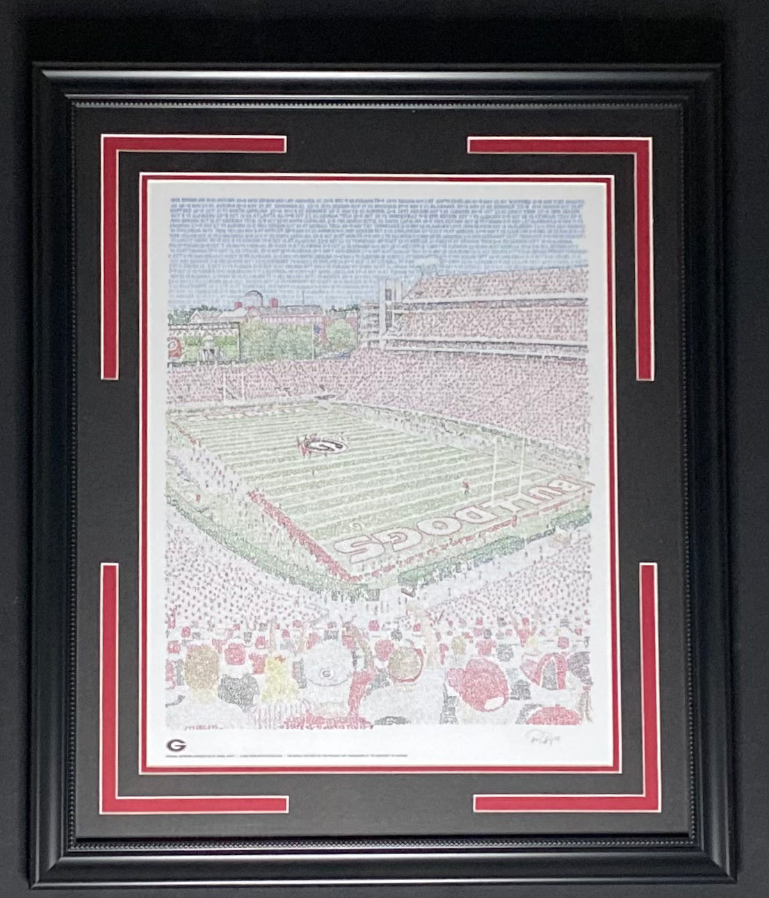Georgia Bulldogs Word Art