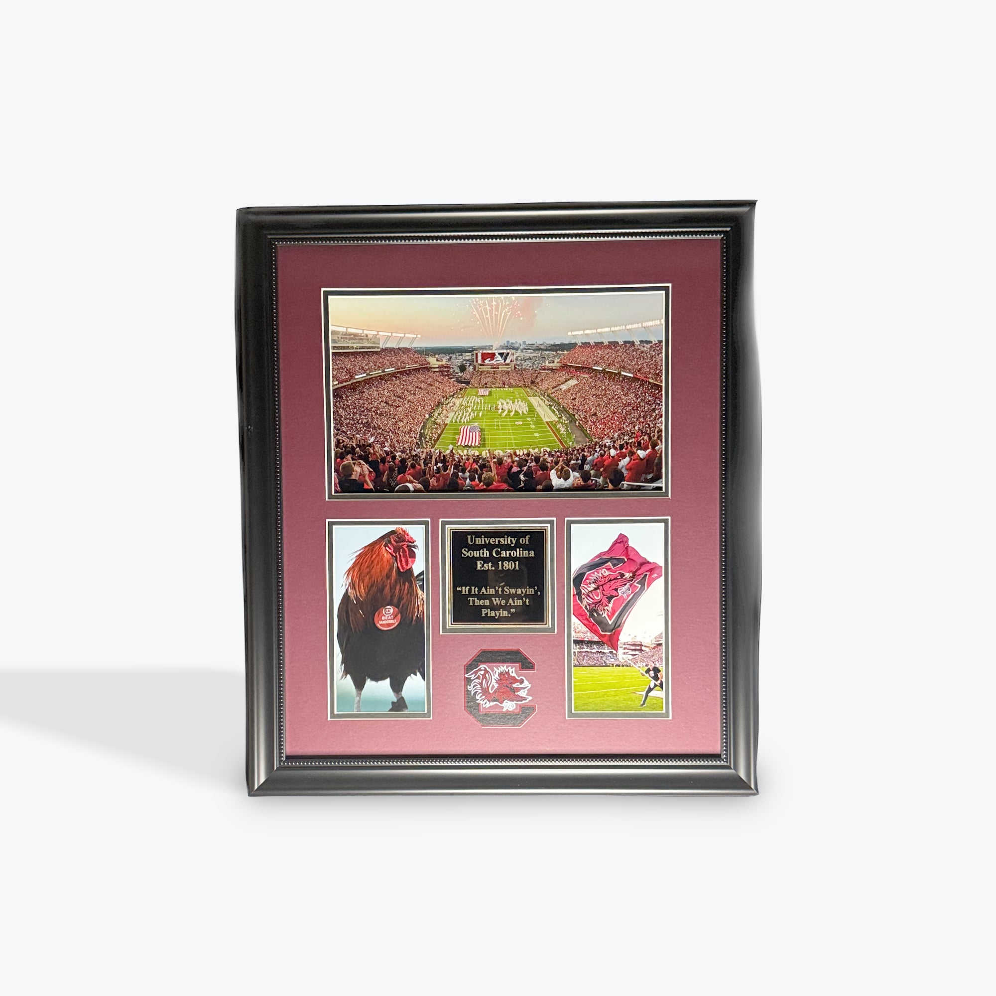 USC Gamecocks Est. 1801