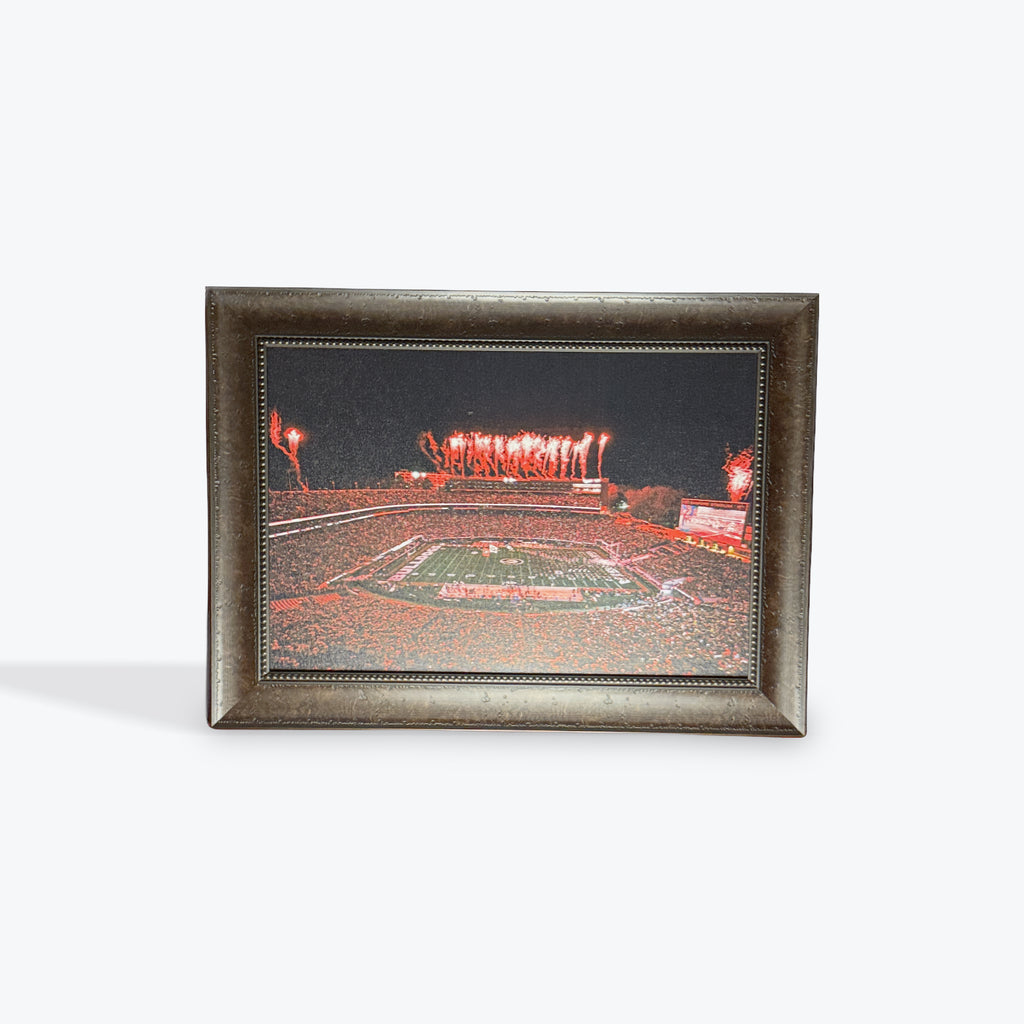 Georgia Stadium Canvas
