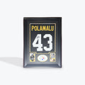 Troy Polamalu Steelers Jersey